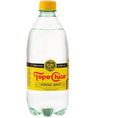 TOPOCHICO 600 ML